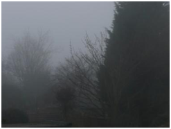 Foggy view from my window