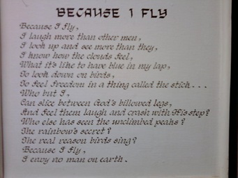 Because I Fly