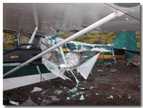 bear_attack_01-600x456